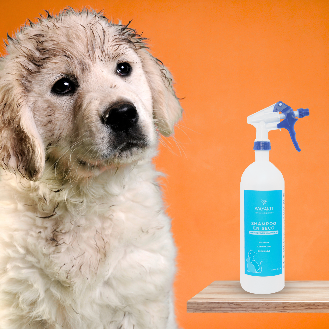 Shampoo en Seco para Mascotas 1L