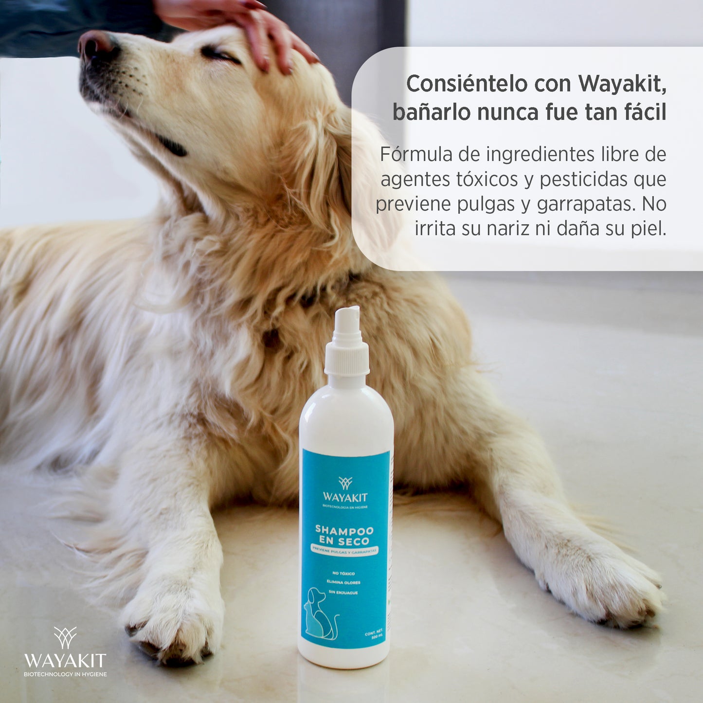 Shampoo en Seco para Mascotas 1L