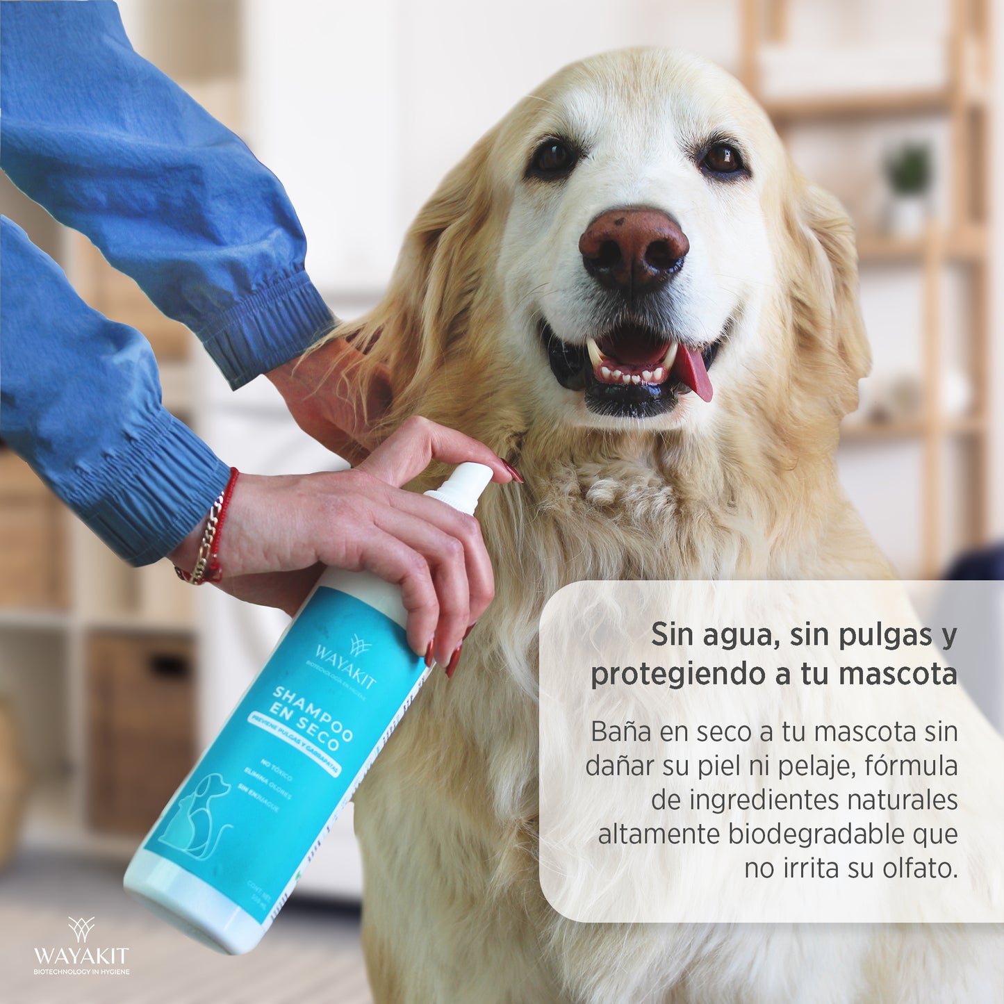 Shampoo en Seco para Mascotas 1L
